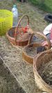IMG 20180920 WA0007